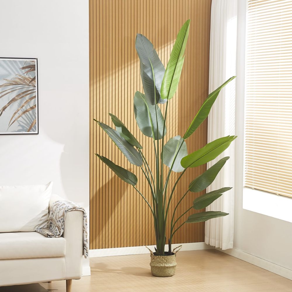 Plante artificielle Calipso